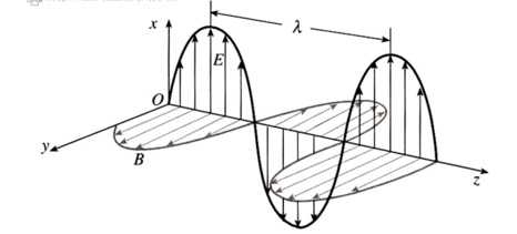 手機(jī)信號(hào)屏蔽器