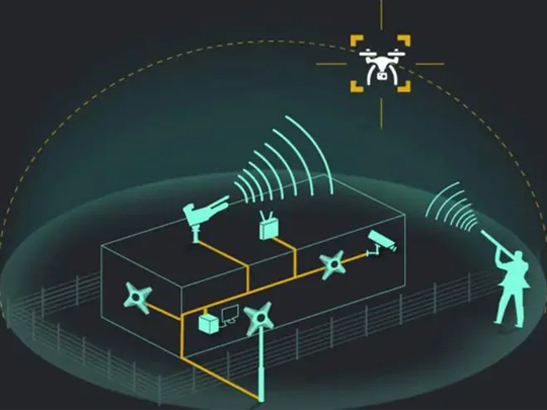 1735283192494828.jpg 22.jpg